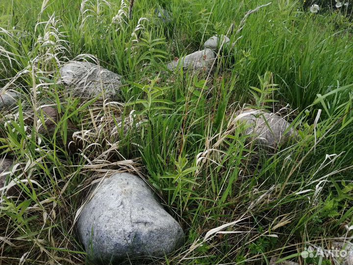 Ландшафтные валуны