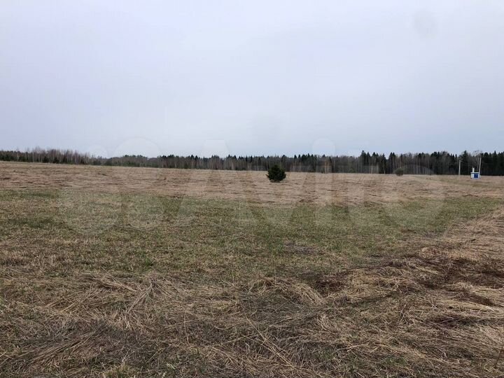 Участок 10 сот. (ИЖС)