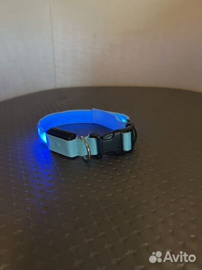 Ошейник для кошки/маленькой собаки