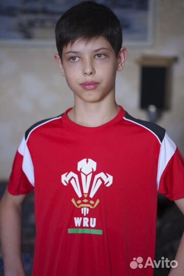 Детская футболка сборной по регби Уэльса р.42-44