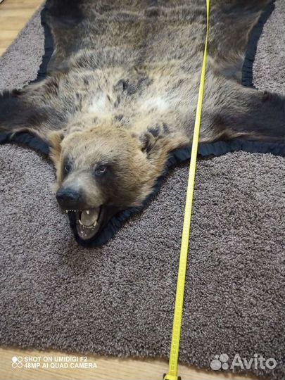 Шкура ковер 