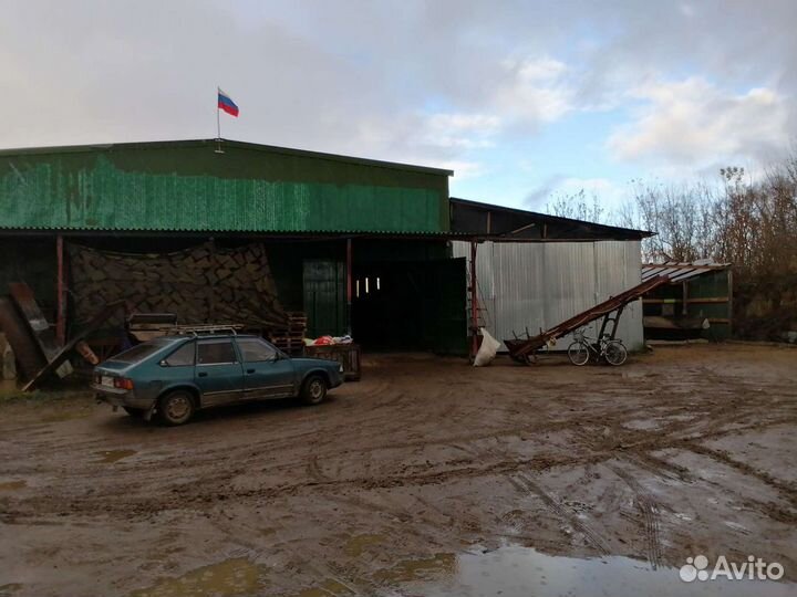 Продается хранилище и земля сельхоз