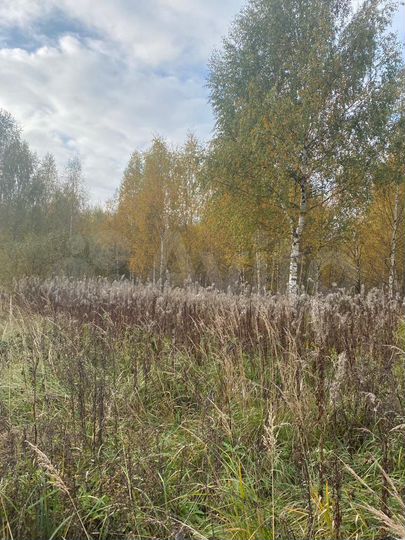 Участок 12 га (ИЖС)