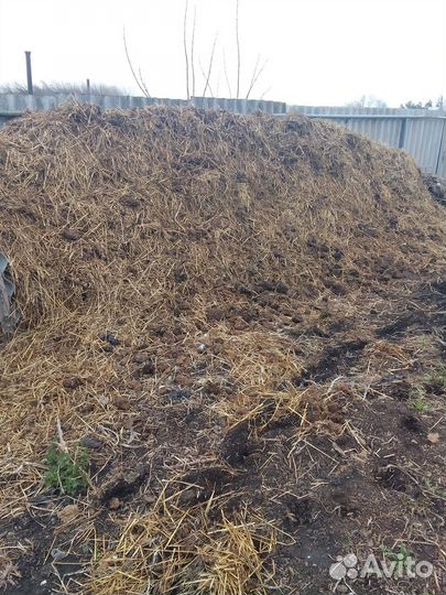 Навоз коровий