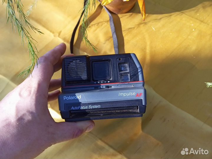 Polaroid