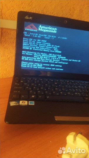 HP asus