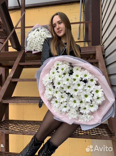 Ромашка, хризантема с доставкой