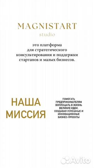 Консультация : Запуск бизнеса, Создание Стартапа