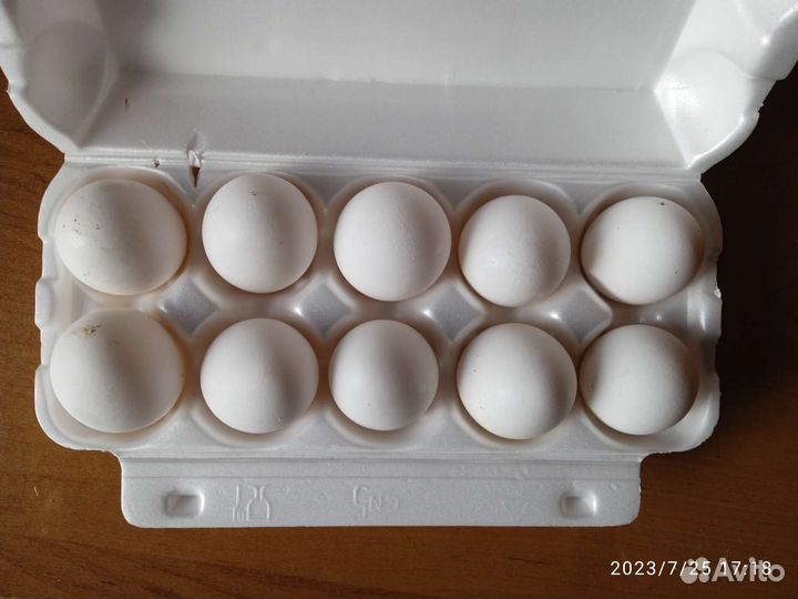 Домашние куриные яйца