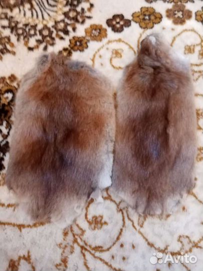 Шкурка животного