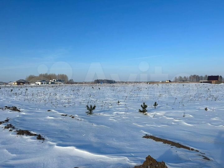 Участок 20 сот. (СНТ, ДНП)