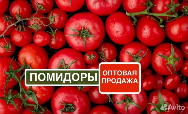 Помидоры оптом