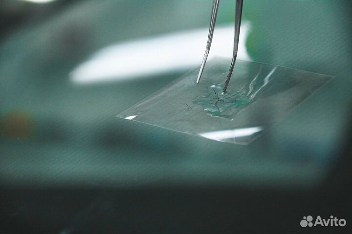 Ремонт сколов и трещин лобового автостекла