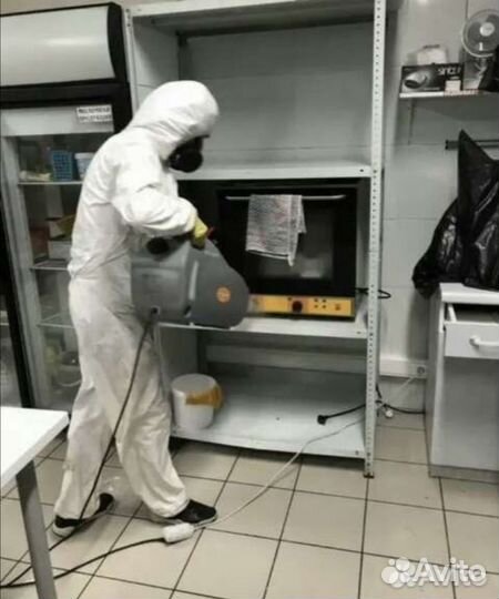 Уничтожение клопов тараканов мышей блох плесени