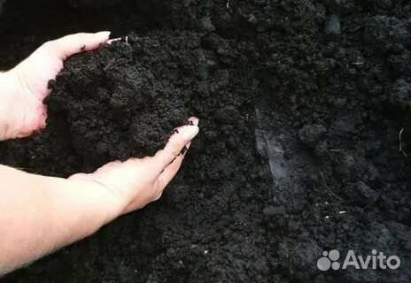 Чернозём, плодородная земля