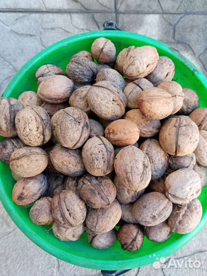 Грецкий орех
