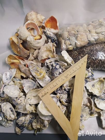 Набор для аквариума или террариума