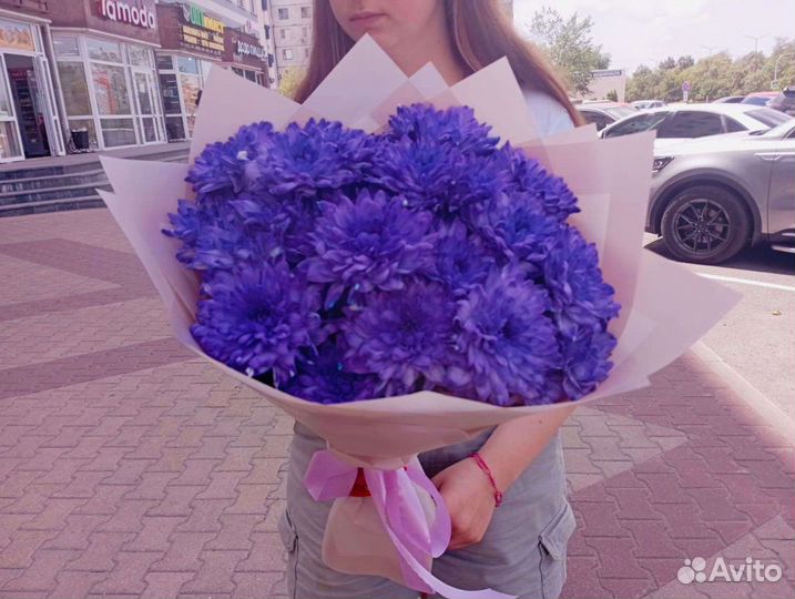 Хризантема кустовая