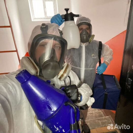 Уничтожение клопов, тараканов, ос, крыс, мышей