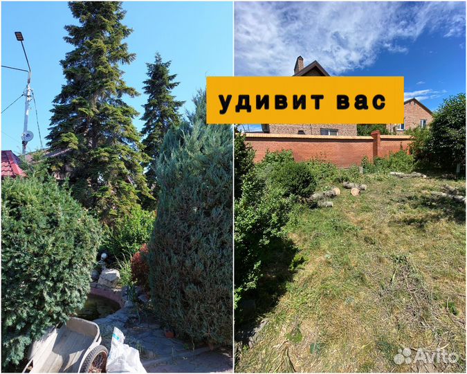 Спил деревьев / Удаление / Вывоз