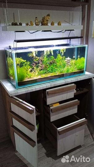 Аквариум