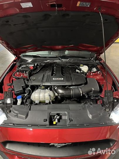 Ford Mustang 5.0 AT, 2021, 12 000 км