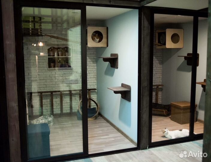 Зоогостиница для кошек/кошачий отель