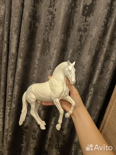 Гальего трад Anky