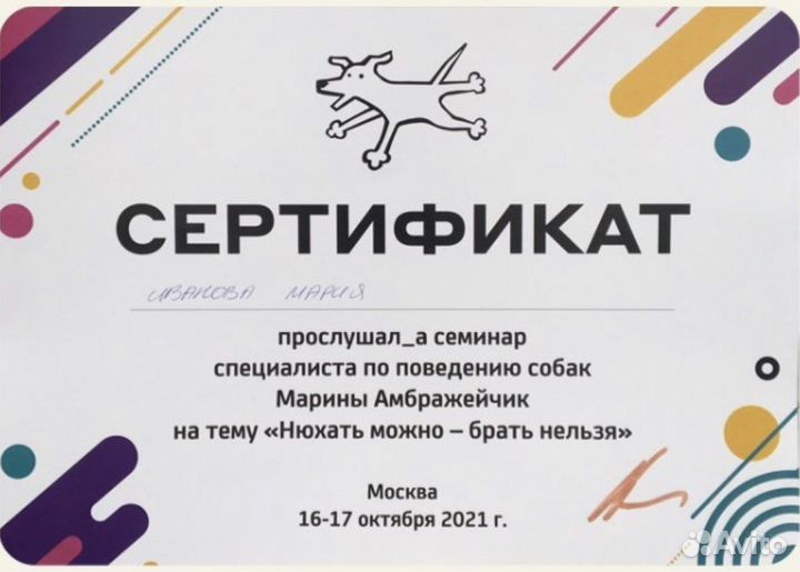 Специалист по поведению собак. Ноузворк