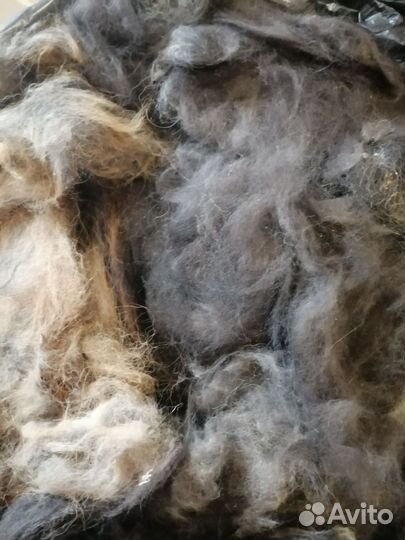 Собачья шерсть