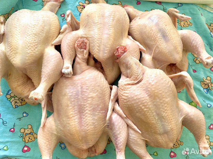 Мясо домашнего бройлера