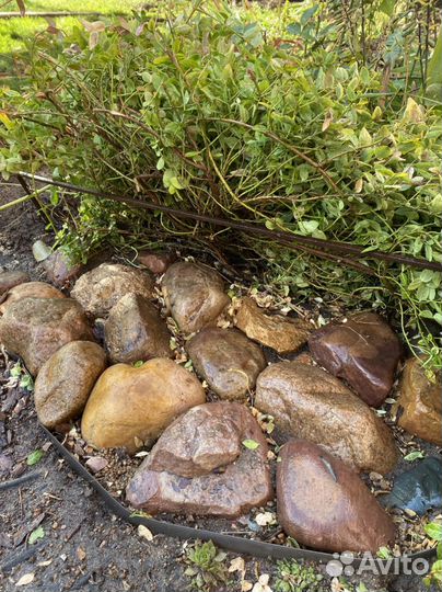 Камни для ландшафтного дизайна