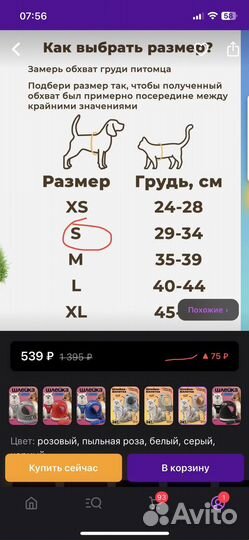 Шлейка для маленькой собаки или кошки