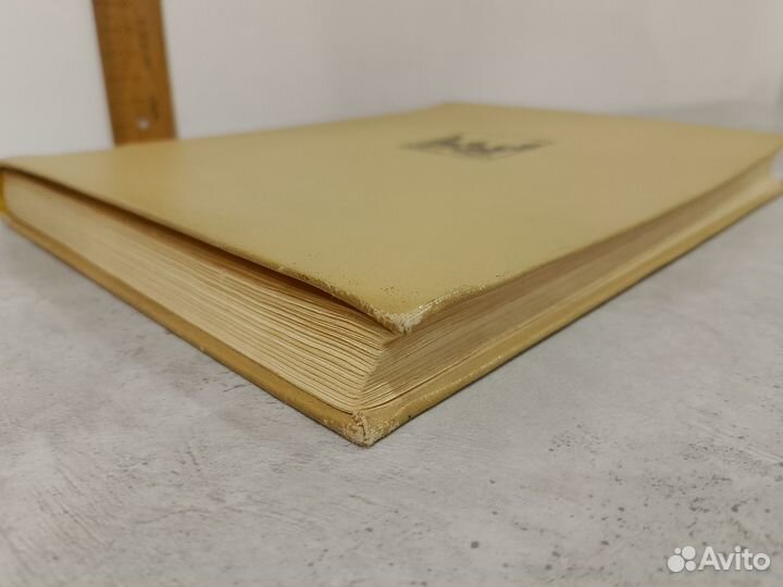 Сомина Р.А. Невский проспект