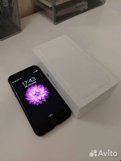 iPhone 6