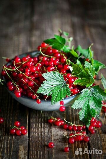 Красная смородина замороженная