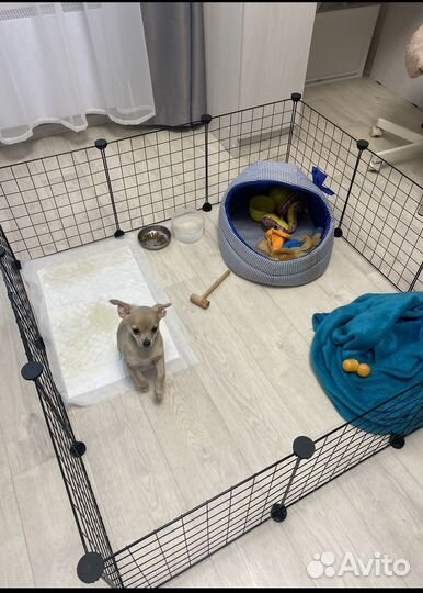 Вольер для собак в квартиру