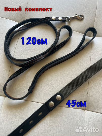 Новый ошейник +поводок (средн.породы)