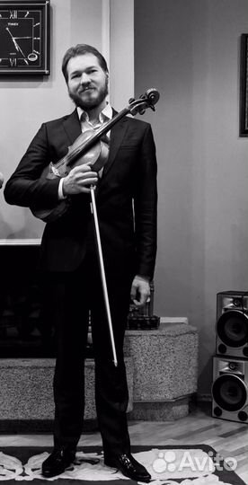 Скрипач / альтист на Ваш праздник