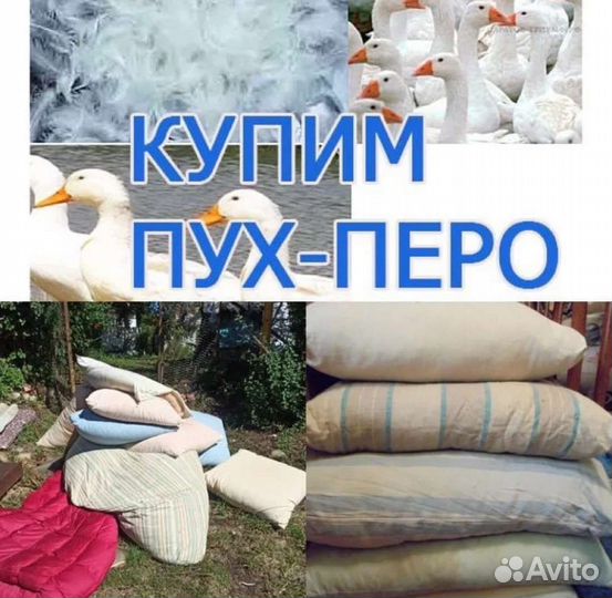 Скупаю старые подушки, перины пуховые