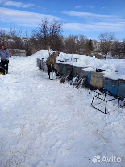 Продам пчелосемьи