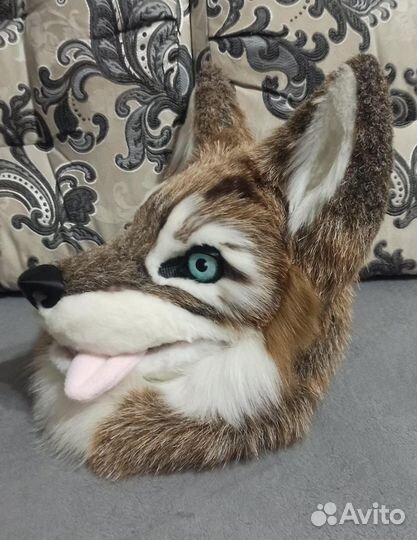 Фурсьют волка