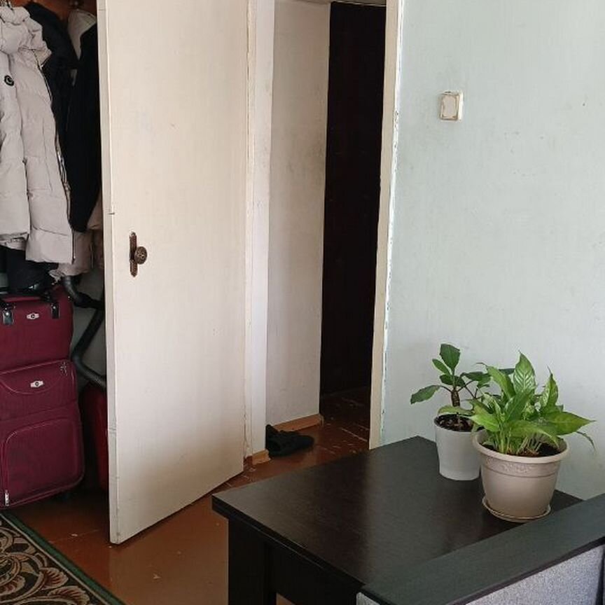 Квартира 1-комн. 28.8 м² в Асино — фото 10 из 15