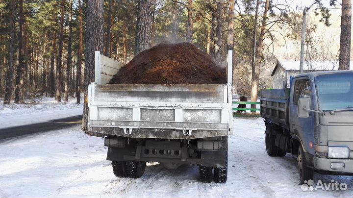 Конский перегной