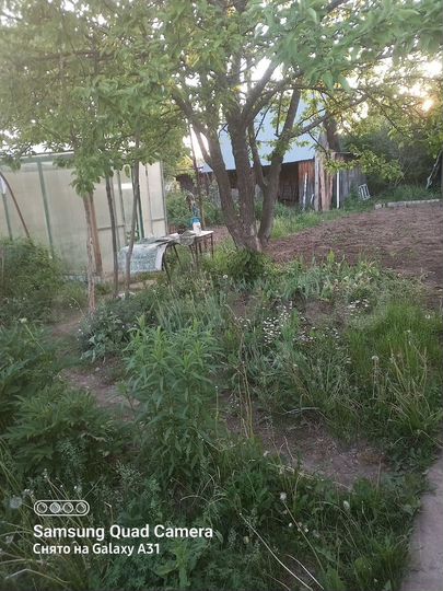 Дача 10 м² на участке 4 сот.