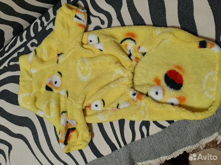 Одежда для собак