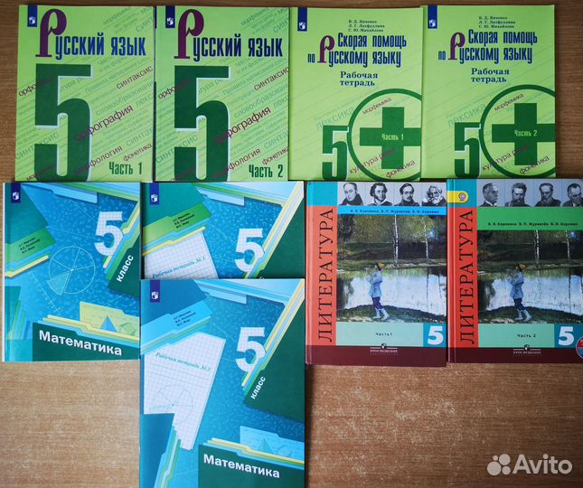 Рабочие тетради, пособия 5, 6, 7, 8 класс