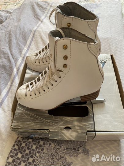 Коньки Jackson Competitor