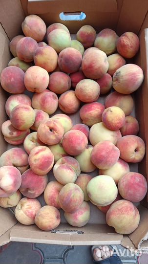Персик оптом и в розницу