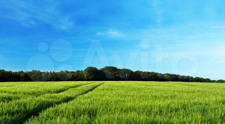 Участок 25 сот. (ИЖС)